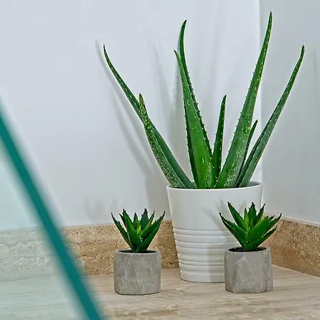 Ulika * Макарска